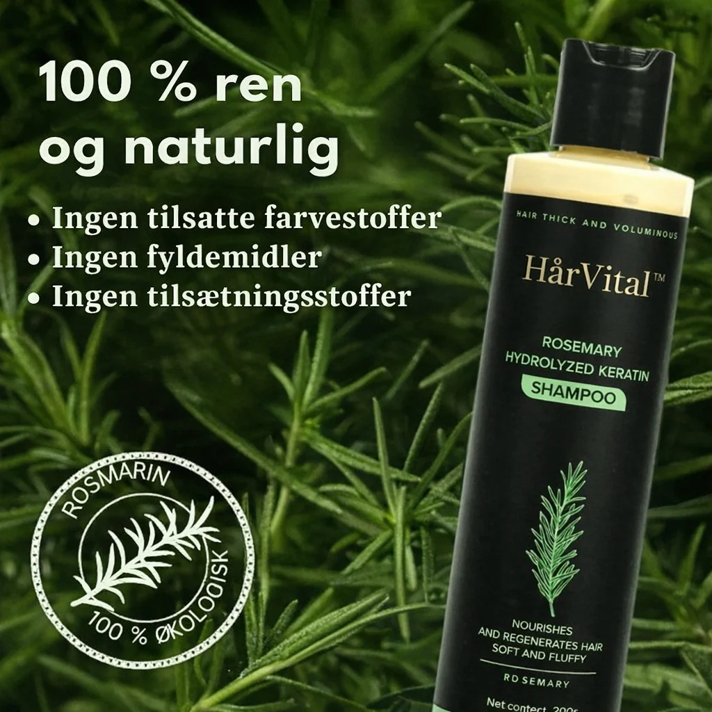 Miniaturebillede 4