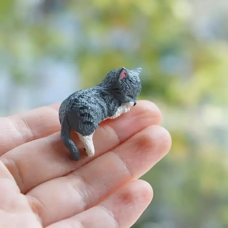Miniaturebillede 6